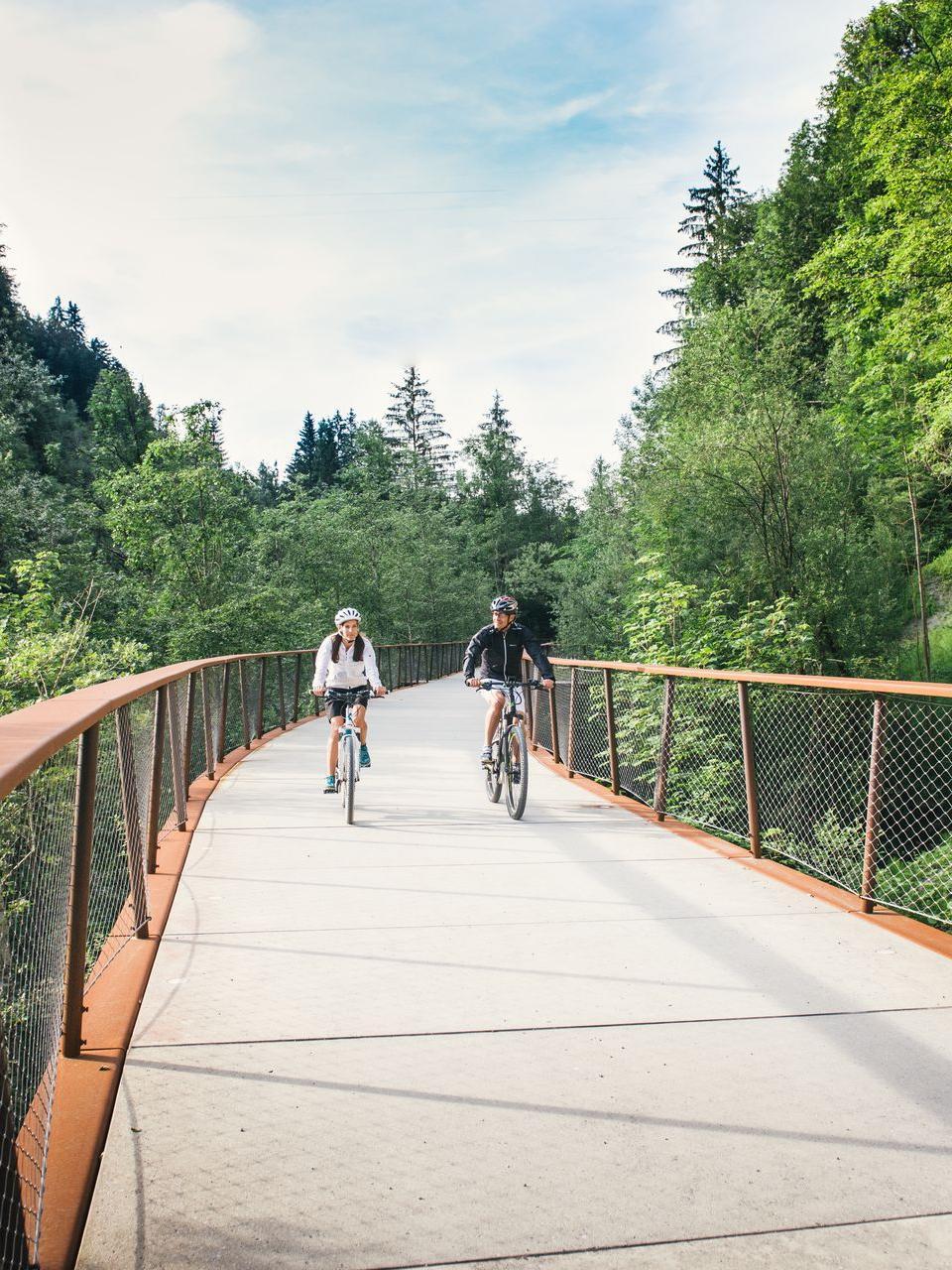 Biken auf dem Radweg im Bregenzerwald 